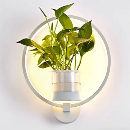 Modern Wall Plant LED Lamp